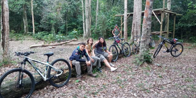 Post do Instagram